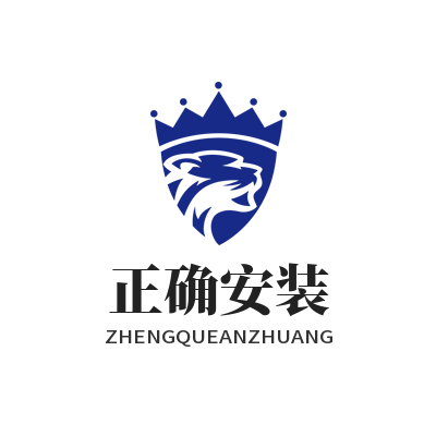 谷歌下载正确安装