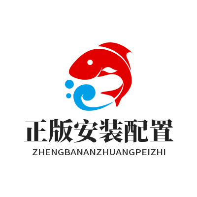 谷歌下载 正版安装配置